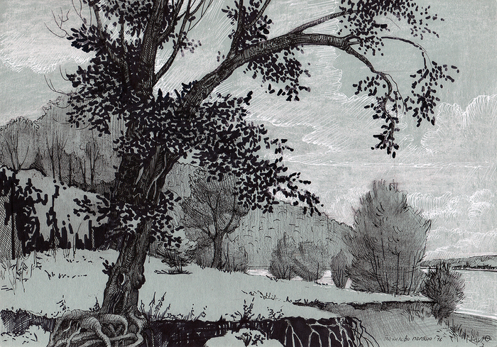 Бахилова поляна