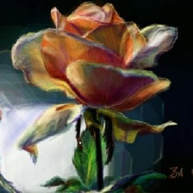 Чайная роза | Нраффити