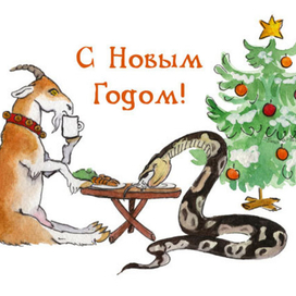 Для любителей региусов