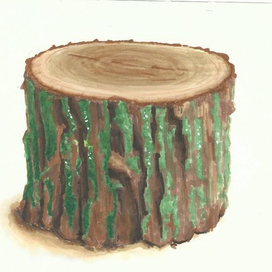 Tree stub