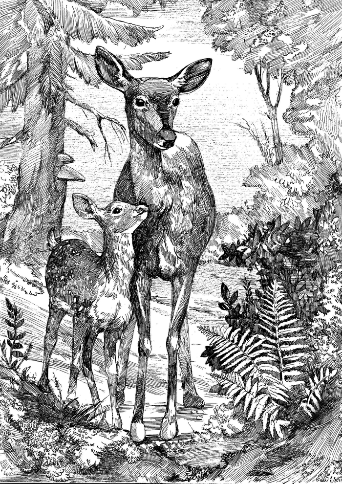 Емеля-охотник