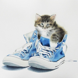 Любимое местечко