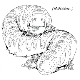 гусЕнь осенний.