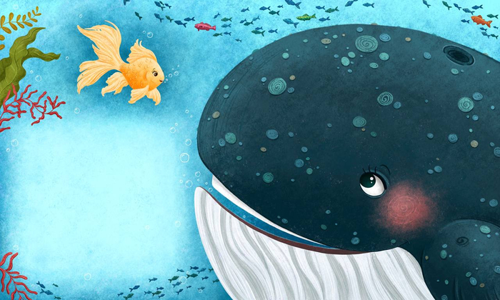 Знакомство 🐳🐠