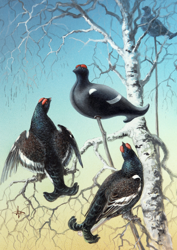 А ты кто такой ?...