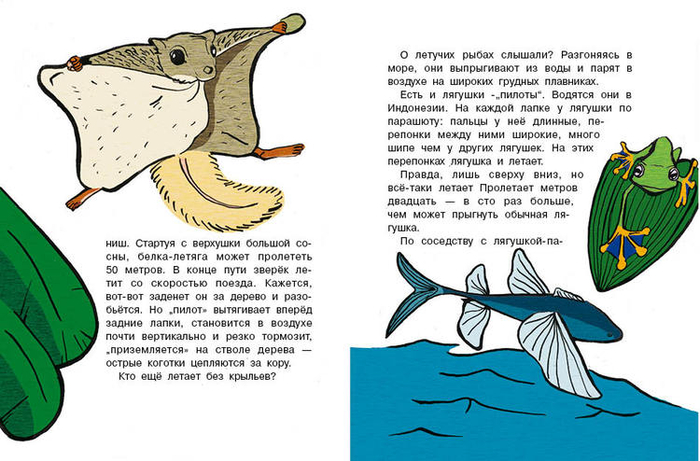 Кто без крыльев живет_18