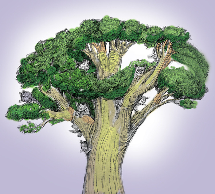 КОШКИ НА ДЕРЕВЕ