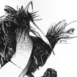 Магнитная птица