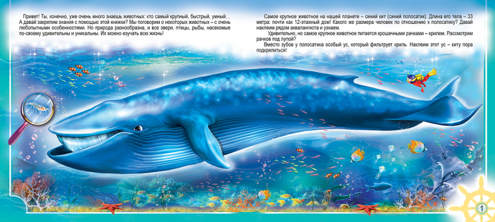 В детскую познавательнуюкнижку