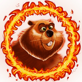 Бобер по курсу