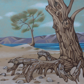 Собирающий камешки