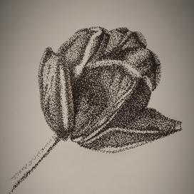 Рисунок, графика