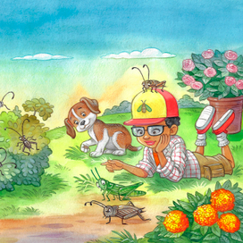 иллюстрации к книге