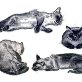 Шариковой ручкой.