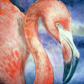 Розовый фламинго