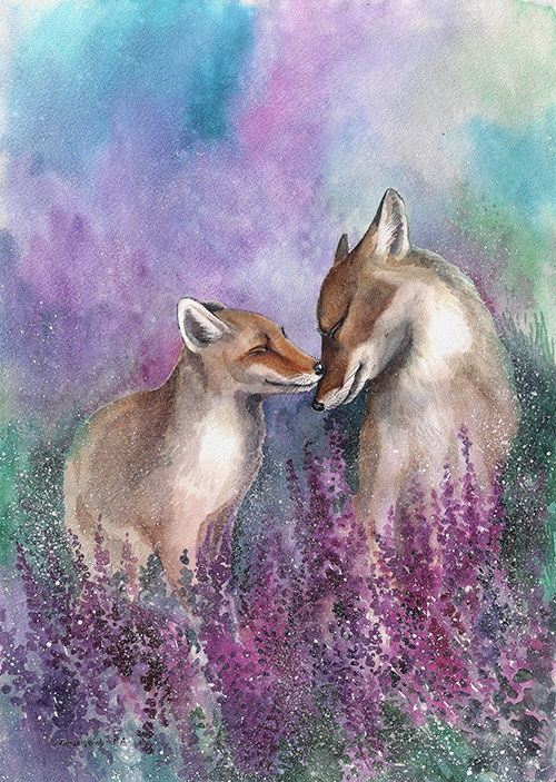 Лисьи нежности