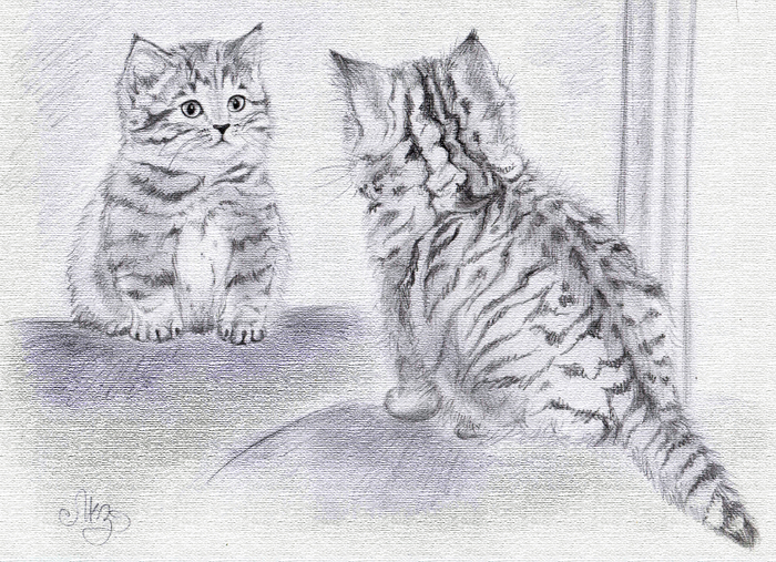 Дерзок и пушист