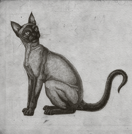 Сиамская кошка