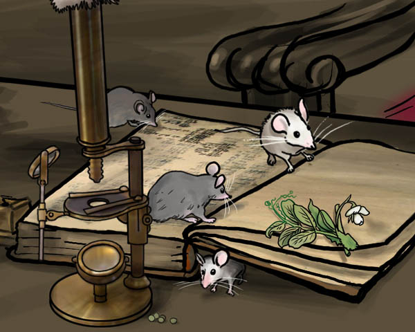 Грегор Иоганн Мендель