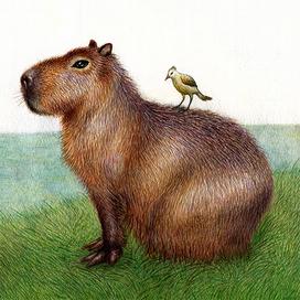 Капитолина.