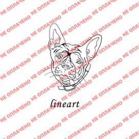 Бульдожка г-жи Сиваковской(line)