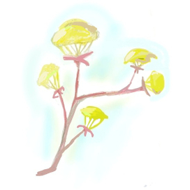 Прелестный клён цветёт когда теплеют дни...