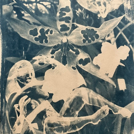 Внутренний сад