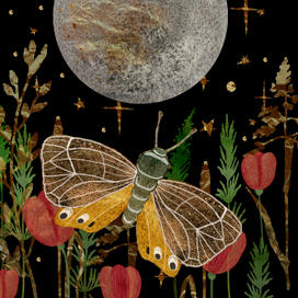 Летняя ночь