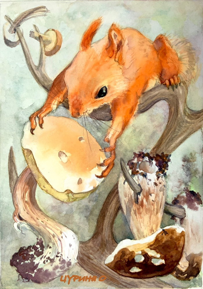 Г. Скребицкий «Воришка»