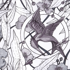 Сойка-пересмешница