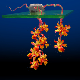 лунный грунт