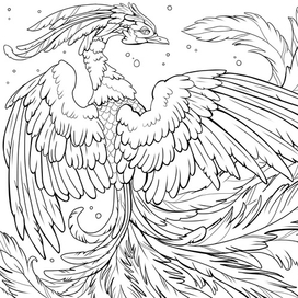 Раскраска Феникс
