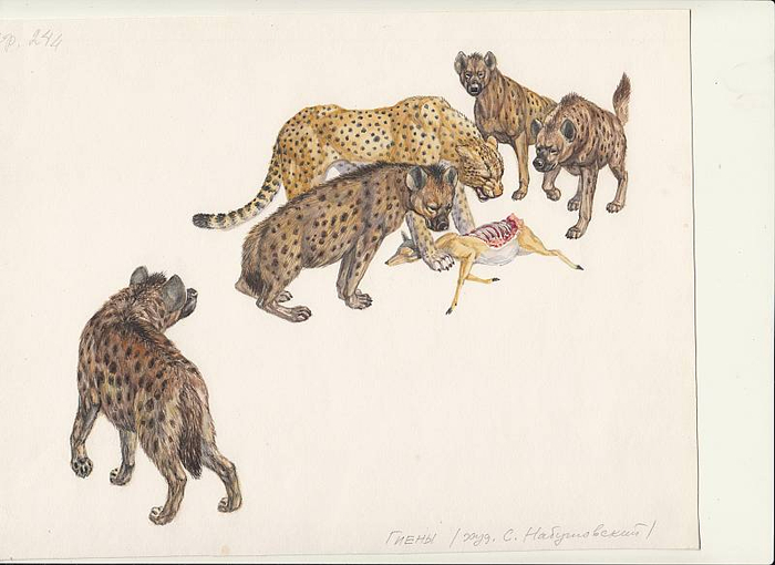 энциклопедия