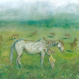 Самый красивый конь