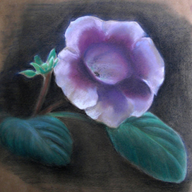 мамин любимчик