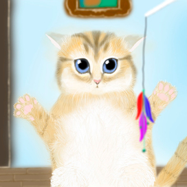 Игривый котенок