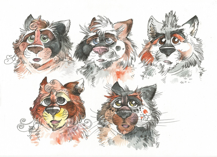 Кот Мориц • Окраска