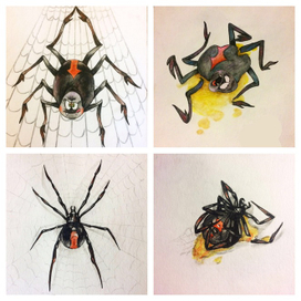 spider/паук