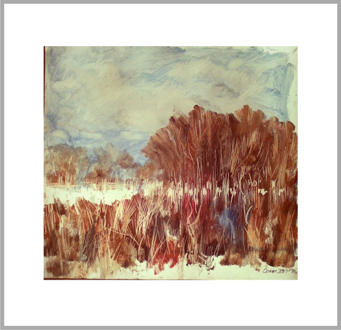 Лодочная станция и прозрачные юбки деревьев