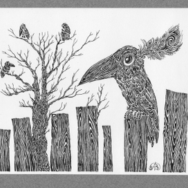 Ворона-воровка