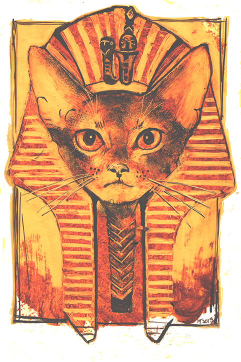 Абиссинский