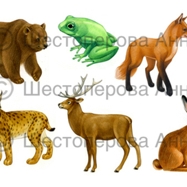 Животные для азбуки