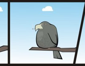 стрип: Сокол