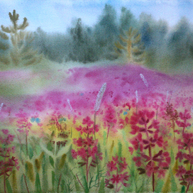 Поле розовых цветов