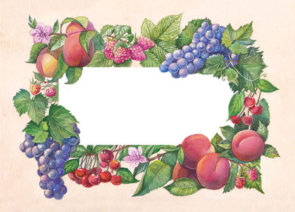 Иллюстрация для упаковки мыла, горизонтальная