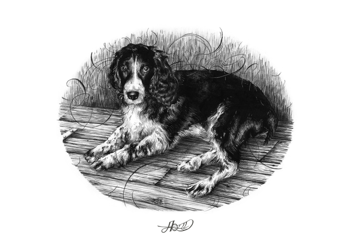 "Я тебя жду"