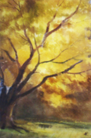 Солнечный дуб