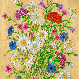 Букет полевых цветов на бежевом фоне