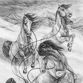 Непокорные кобылицы