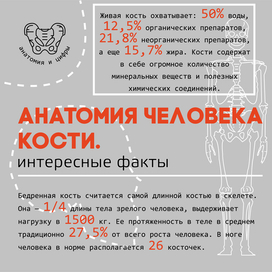 Пример инфографики для презентации